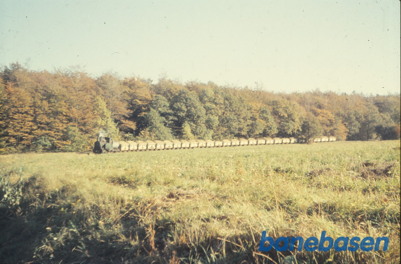 Roetog på vej til fabrikken Roetog på vej til fabrikken