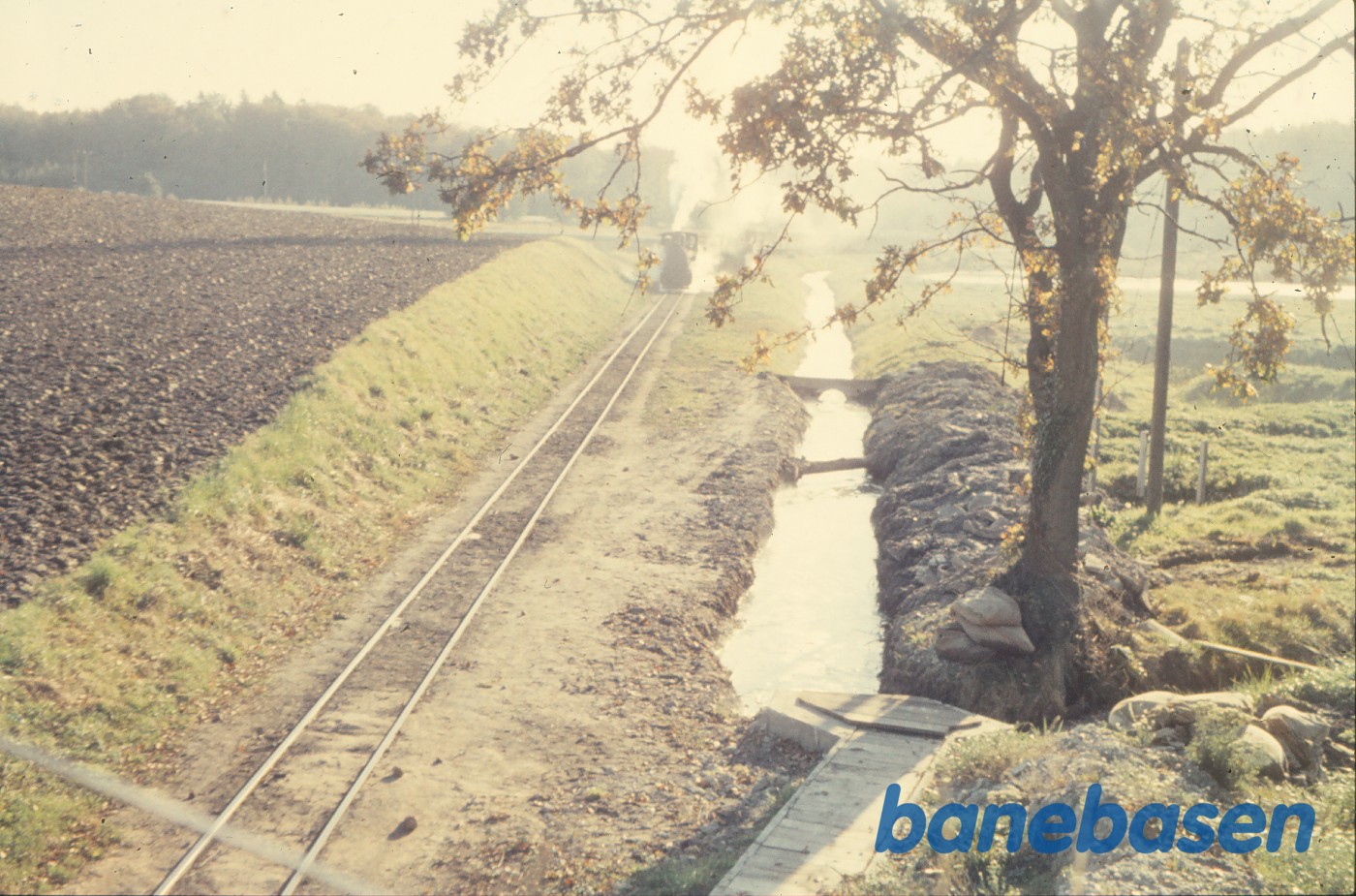 Damplokomotiv med roetog på vej til fabrikken ved slambassinerne Damplokomotiv med roetog på vej til fabrikken ved slambassinerne