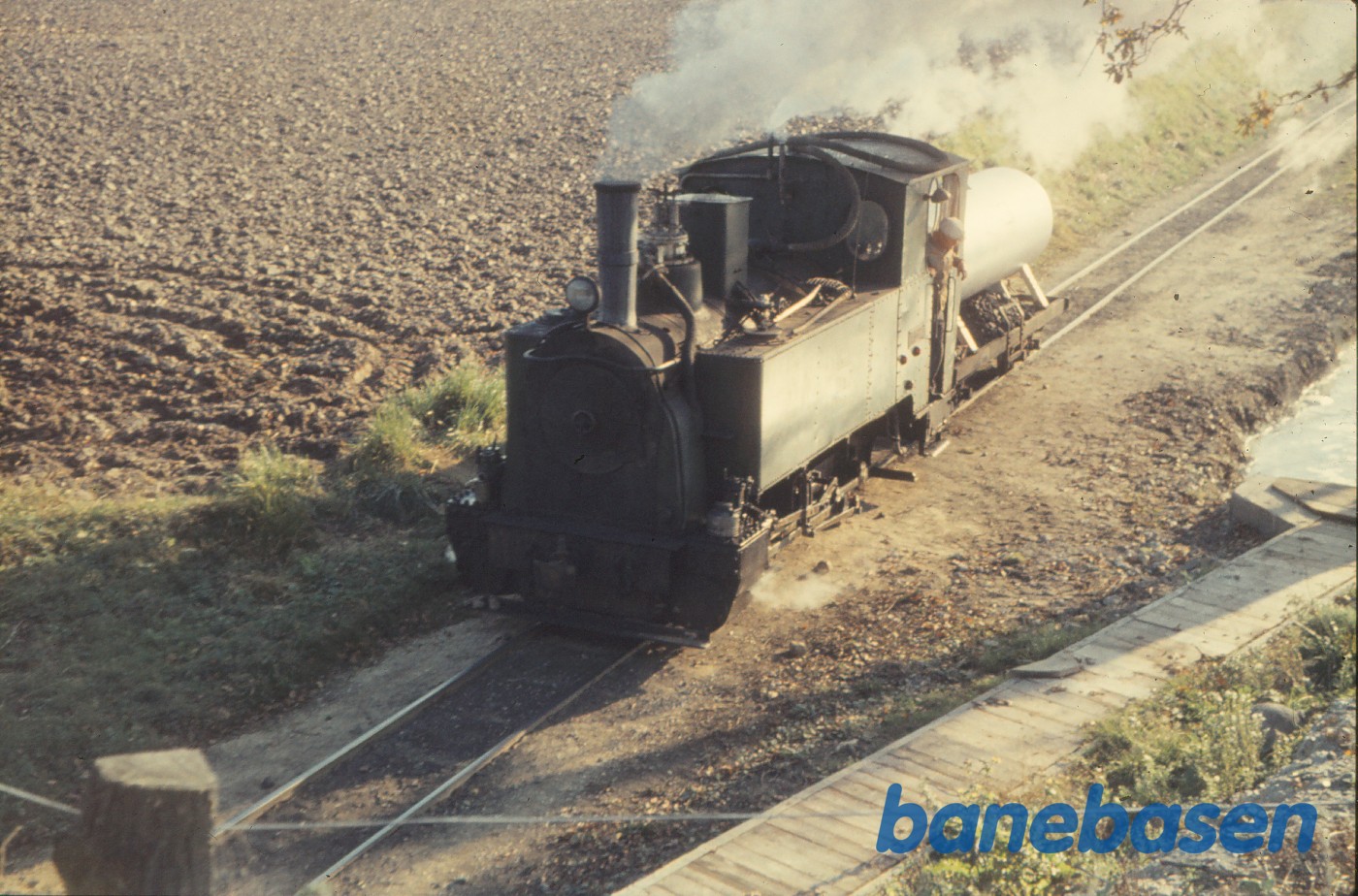 Damplokomotiv passerer under Lollandsbanen Damplokomotiv passerer under Lollandsbanen