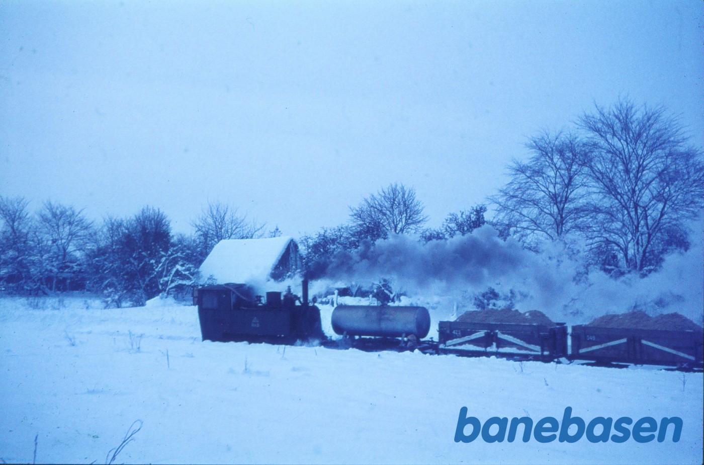 Damplokomotiv Da 2 med tog med roeaffald Damplokomotiv Da 2 med tog med roeaffald