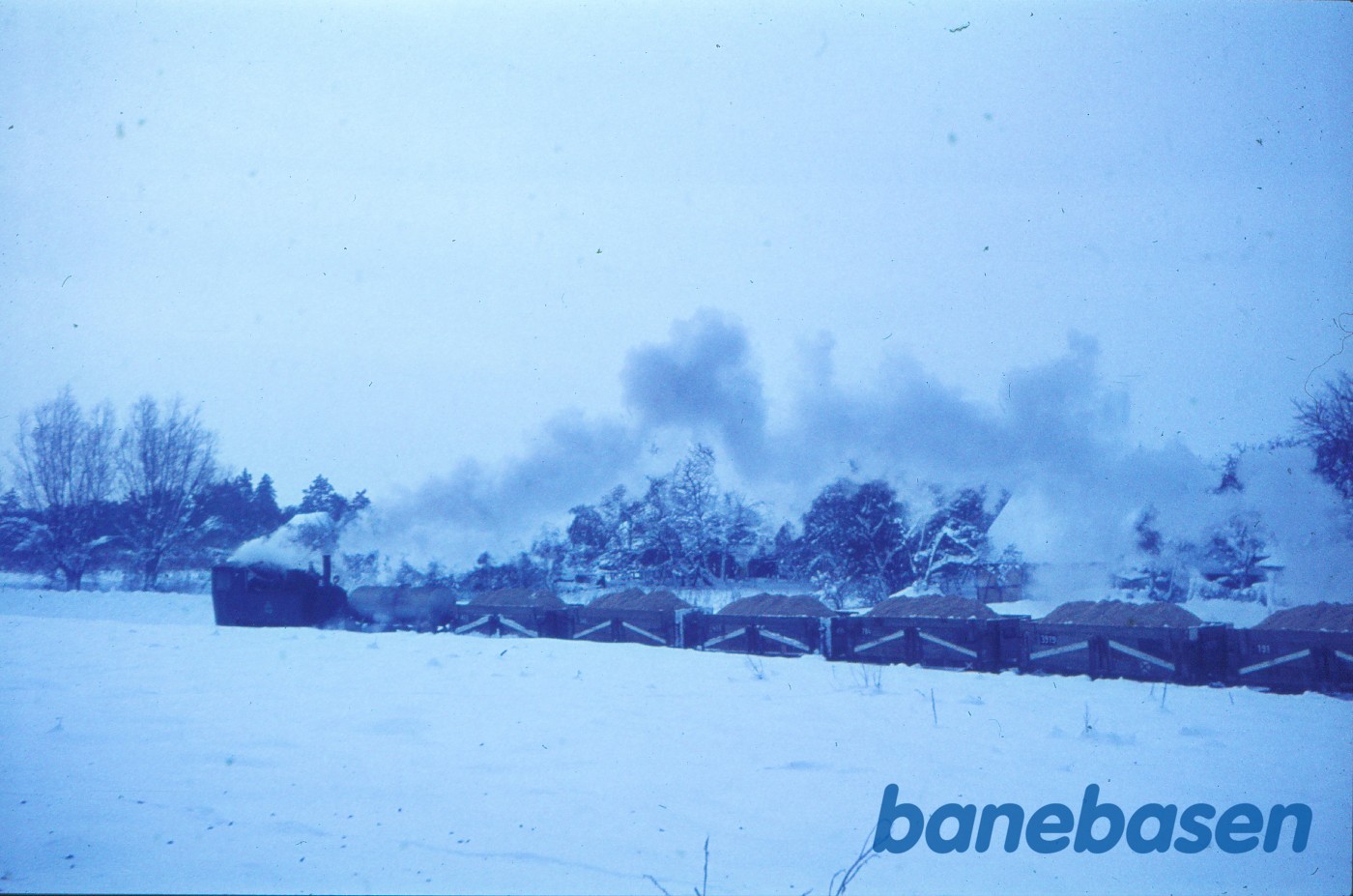 Damplokomotiv Da 2 med tog med roeaffald Damplokomotiv Da 2 med tog med roeaffald