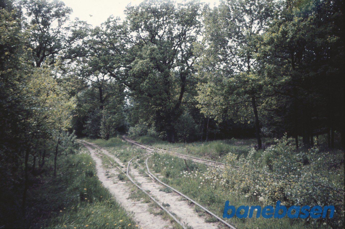 Krydsning mellem Allerød-banen (th) og Bloustrødbanen (tv) Krydsning mellem Allerød-banen (th) og Bloustrødbanen (tv)