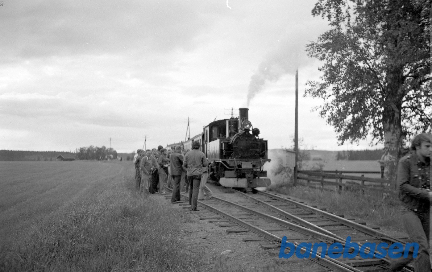 Damplokomotiv nr. 8 "Bingsfos" (ex DR 99 1594) med tog på holdested med sidespor Damplokomotiv nr. 8 "Bingsfos" (ex DR 99 1594) med tog på holdested med sidespor