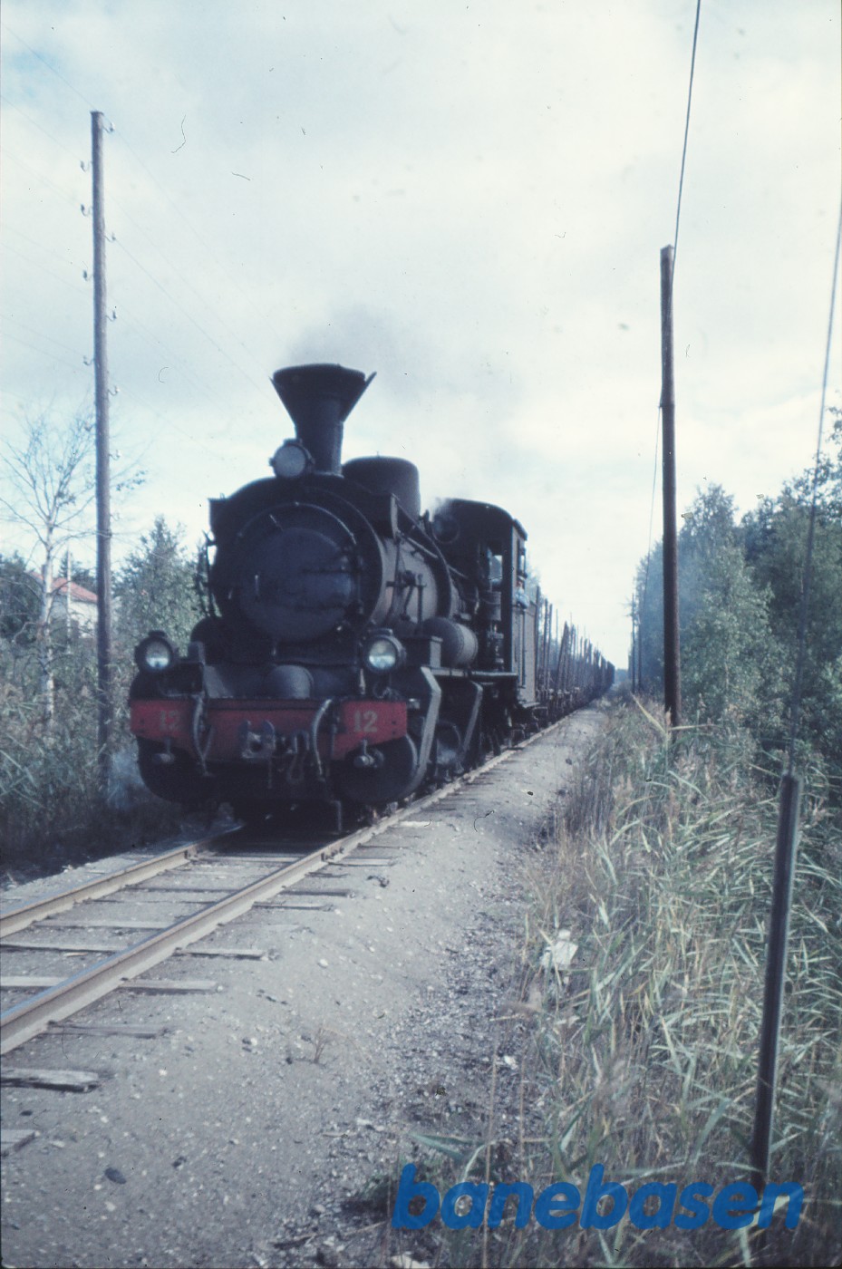 Damplokomotiv nr. 12 med godstog Damplokomotiv nr. 12 med godstog