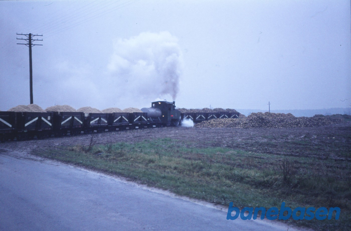 Damplokomotiv rangerer med fyldte roevogne Damplokomotiv rangerer med fyldte roevogne