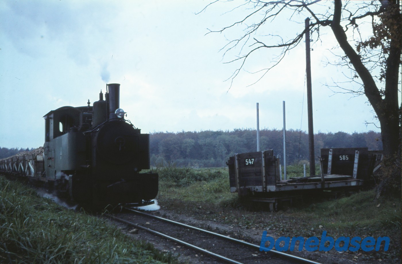 Damplokomotiv med roetog på vej til fabrikken Damplokomotiv med roetog på vej til fabrikken