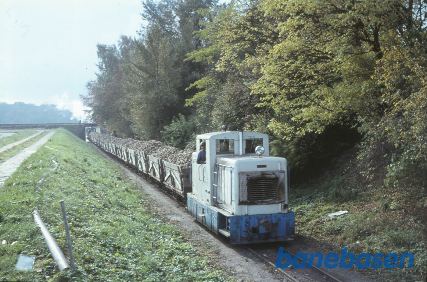 Diesellokomotiv med roetog på vej til fabrikken, damplok som skydelok Diesellokomotiv med roetog på vej til fabrikken, damplok som skydelok