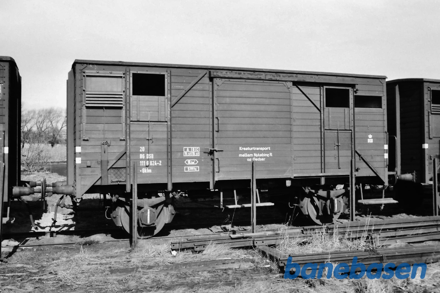 Kreaturtransport Nykøbing F – Gedser Kreaturtransport Nykøbing F – Gedser