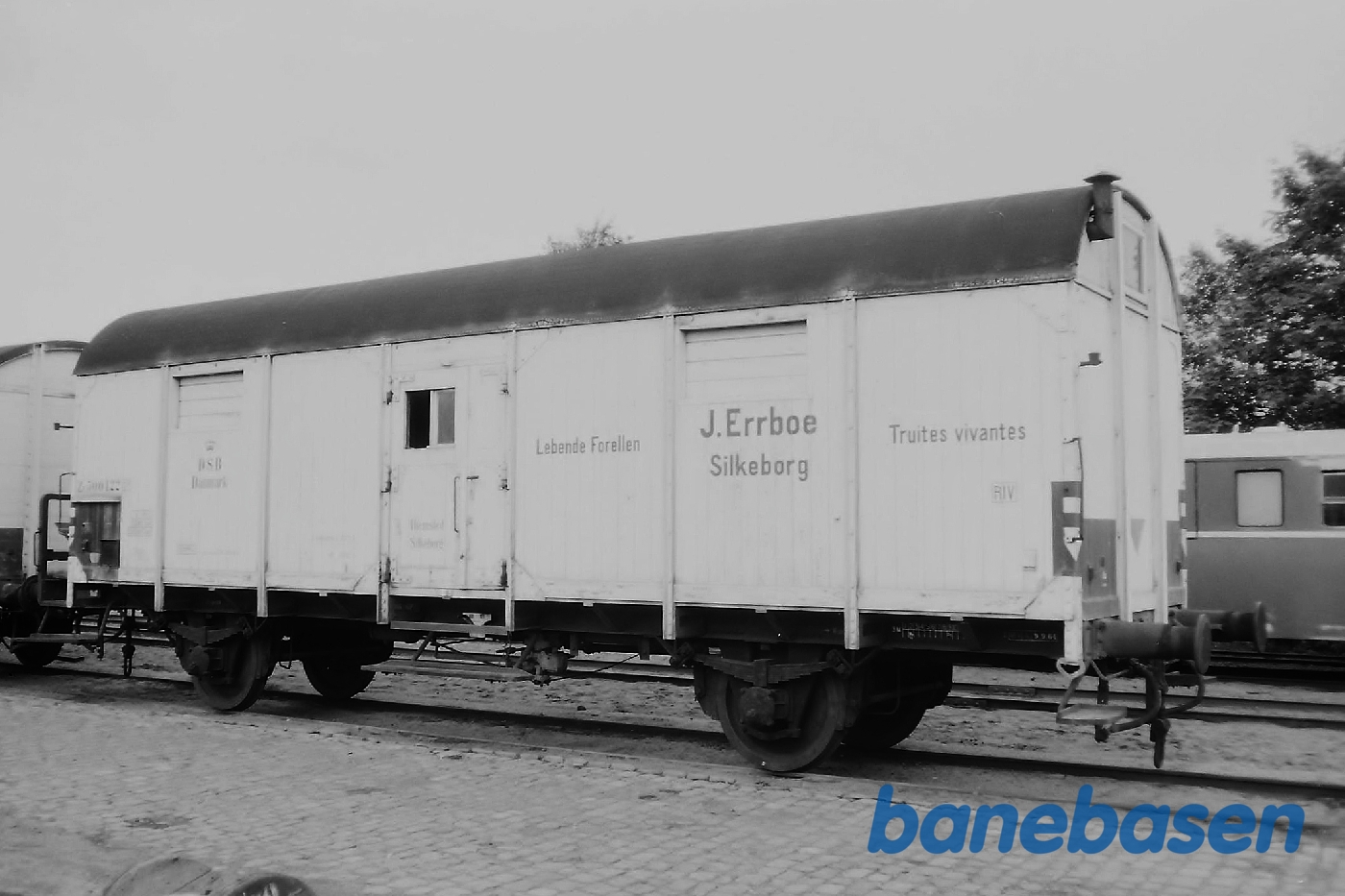 ZF 500122. Levende fisk ZF 500122. Levende fisk