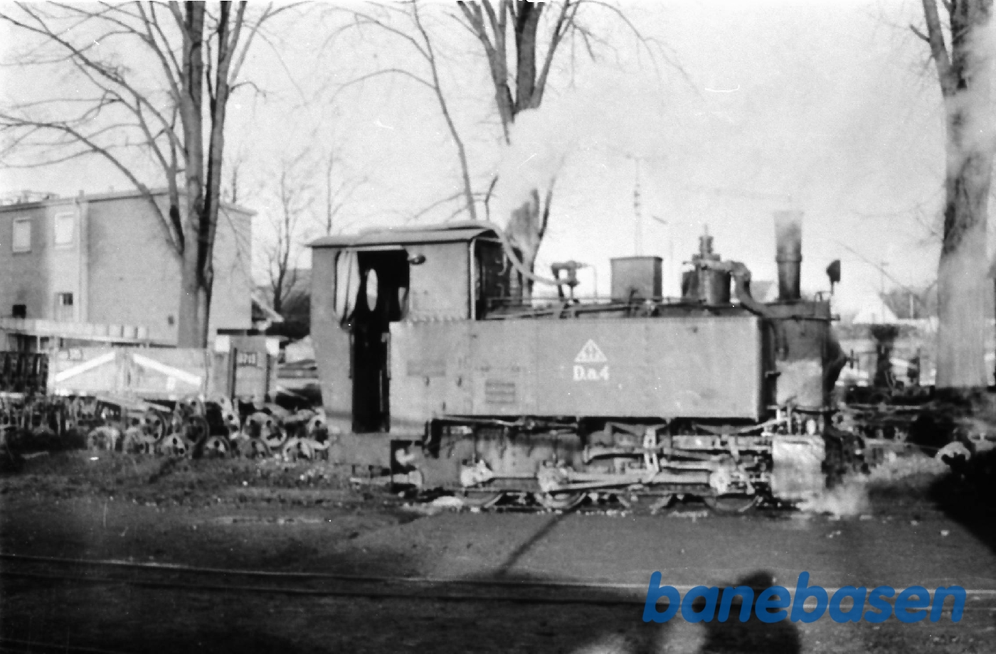 Sukkerroebaner. Roebaner Sukkerroebaner. Roebaner