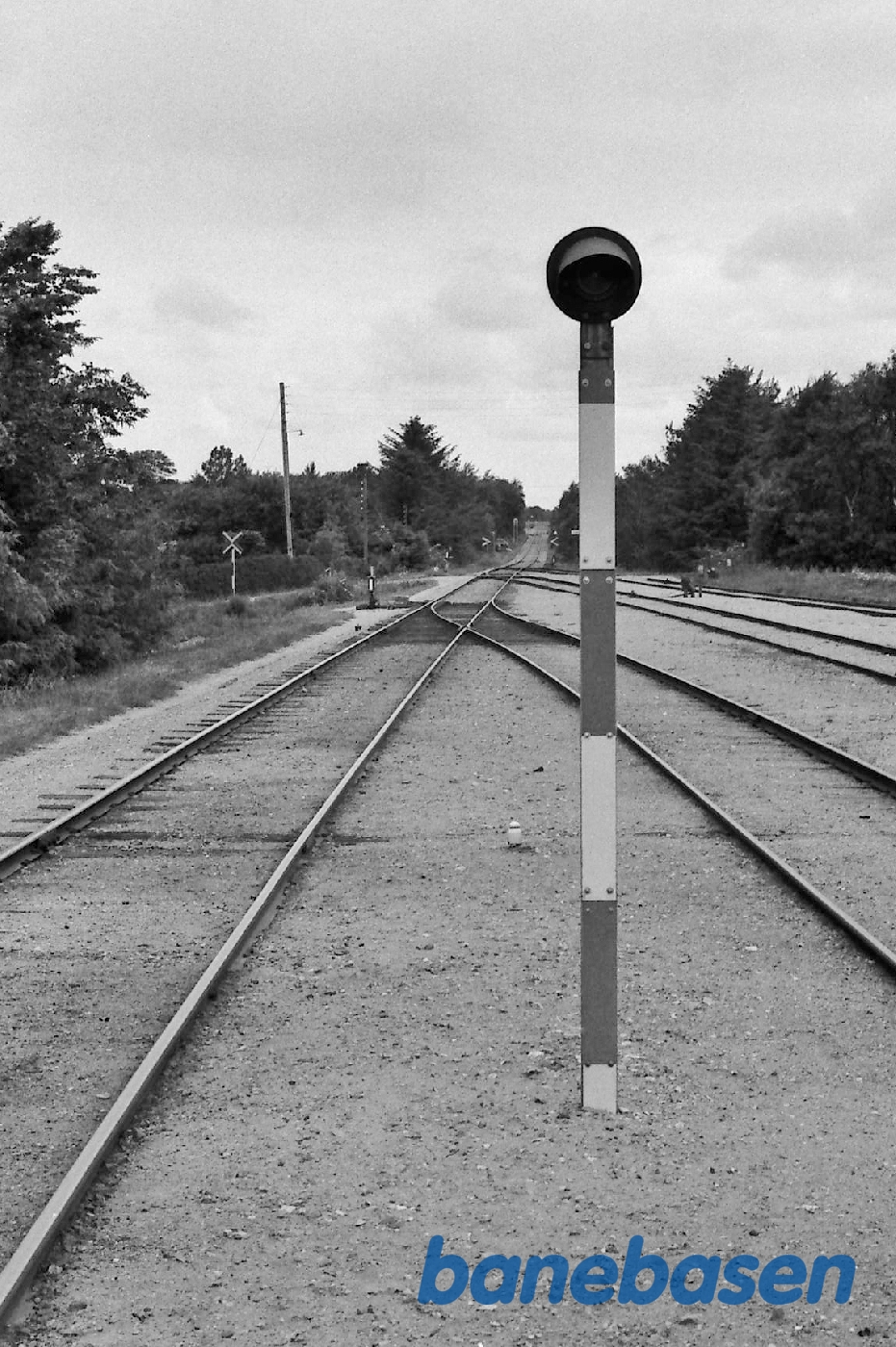 Signal Signal