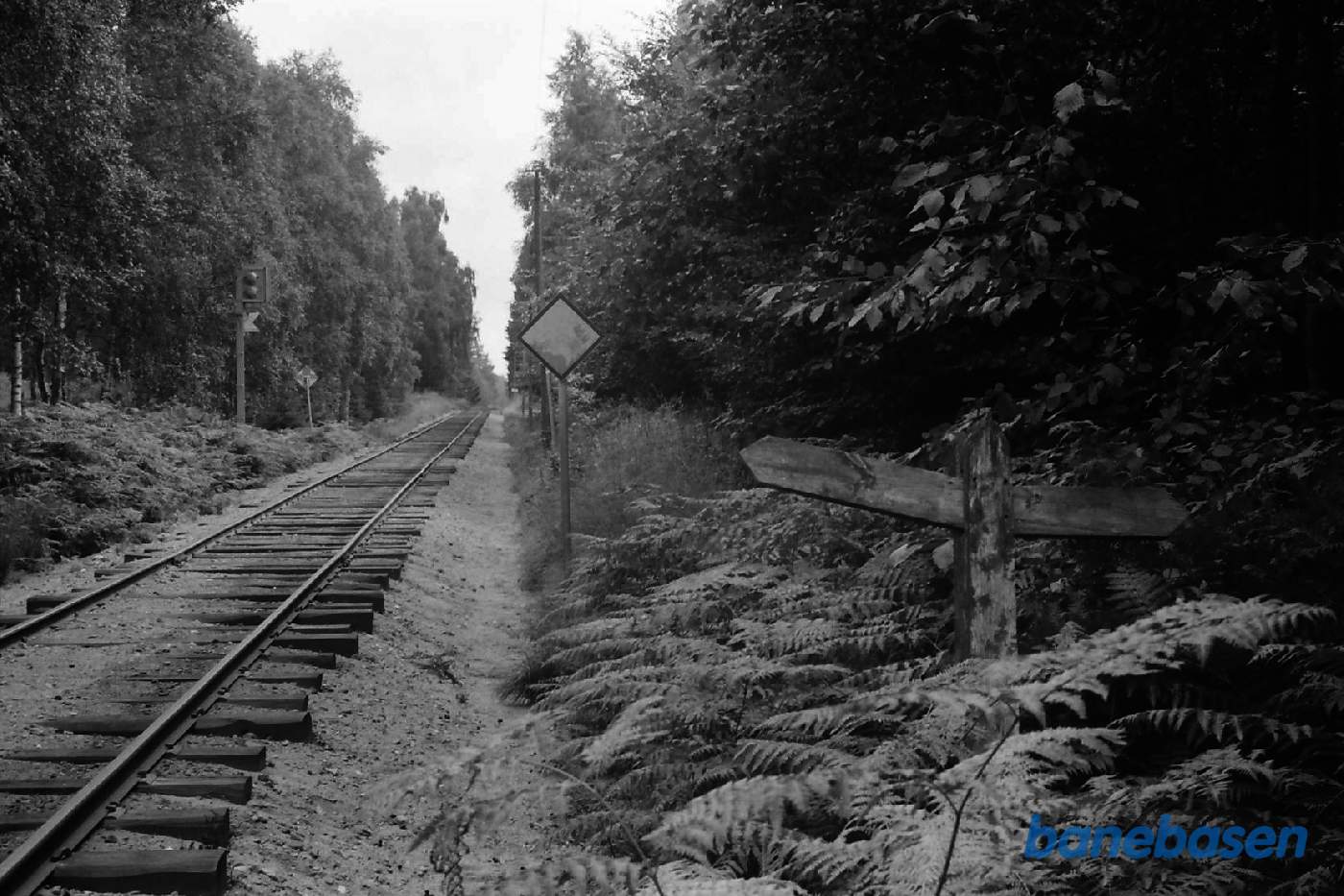 Faldviser ved Faldviser ved