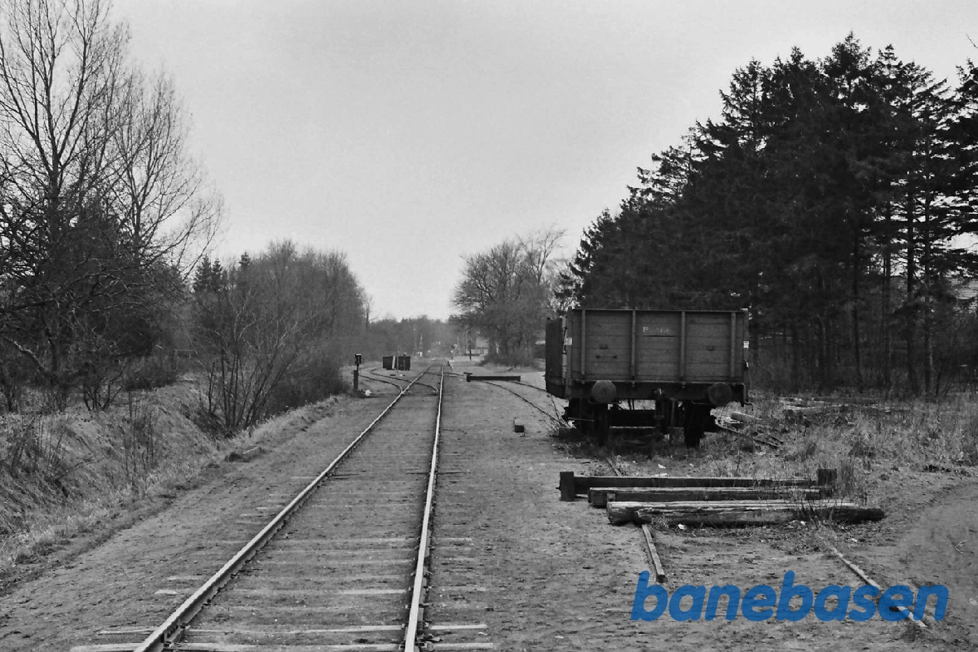 Sporarealet Sporarealet