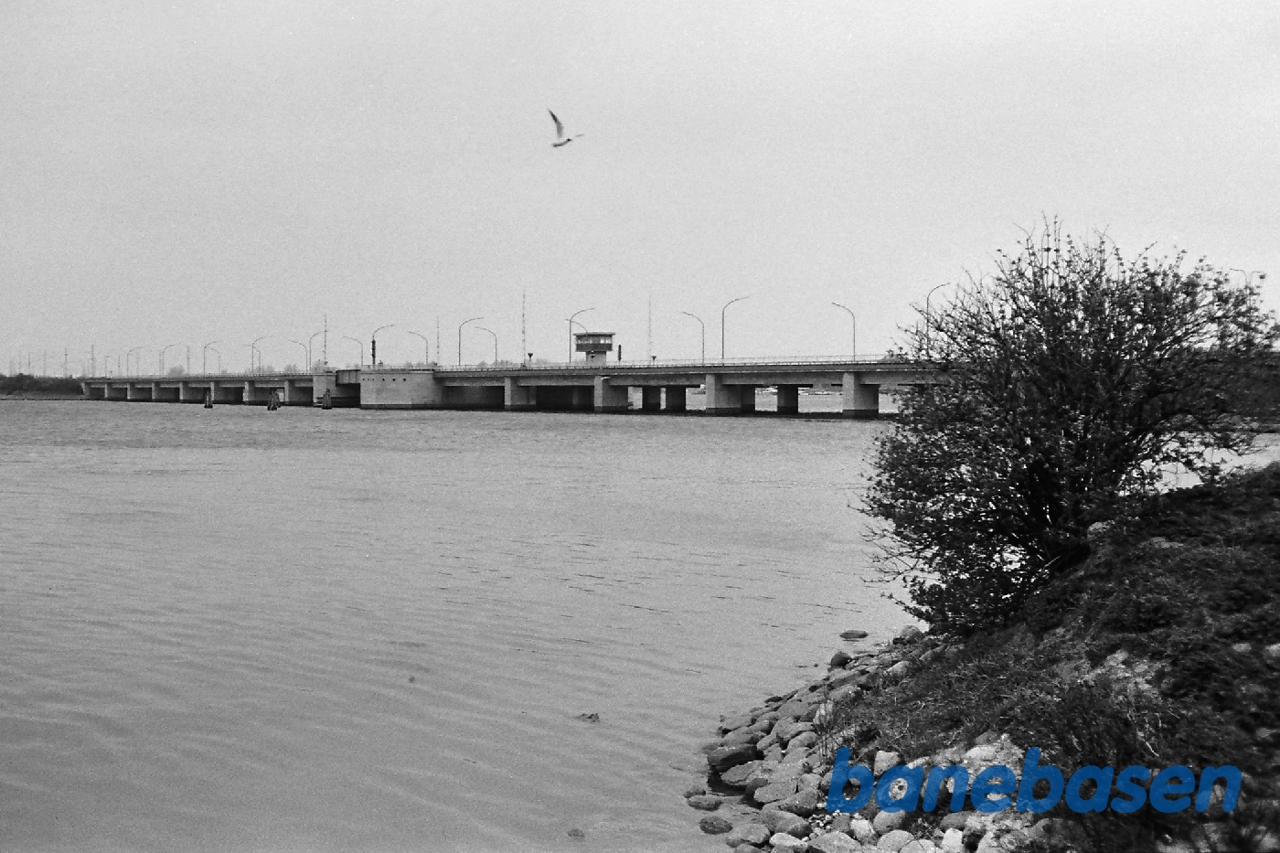 Kong Frederik IX Kong Frederik IX