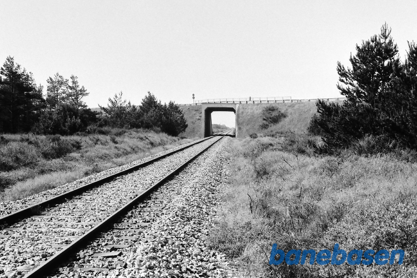 Vejbro fra syd Vejbro fra syd