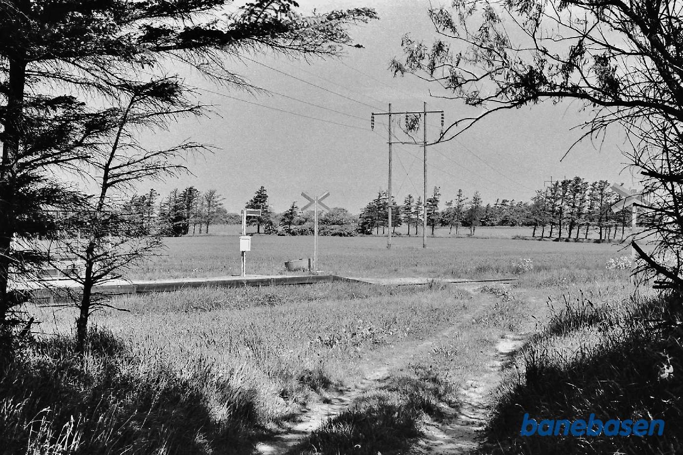 Trinbræt set fra øst