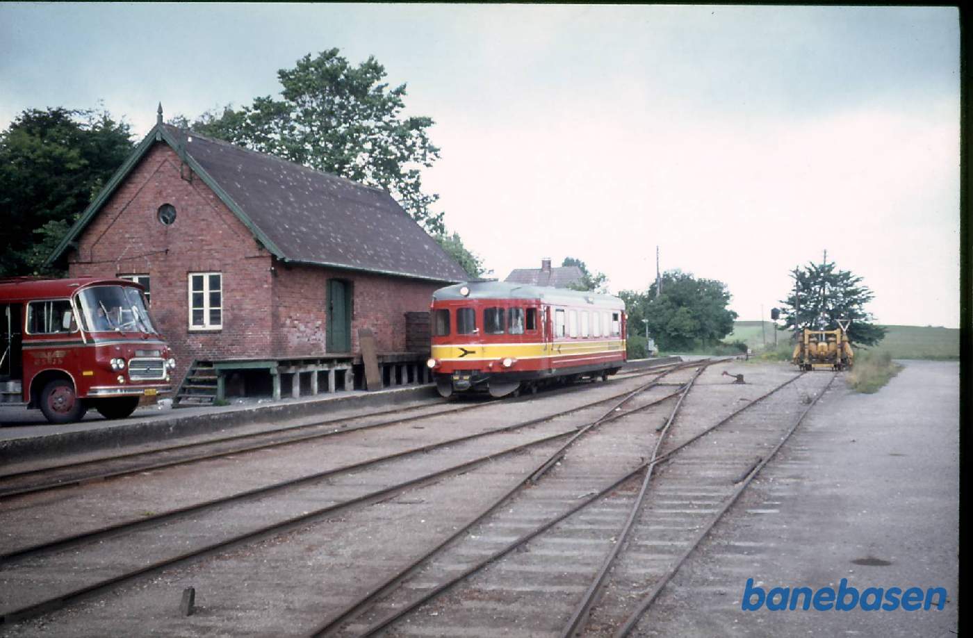 Krydsning med daddelæske i Faxe Krydsning med daddelæske i Faxe