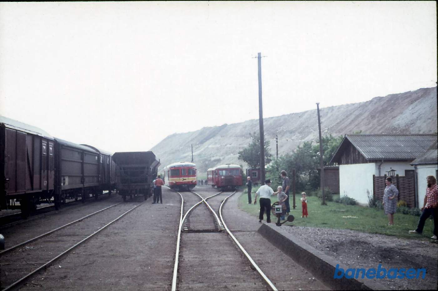 Krydsning med daddelæske i Faxe Krydsning med daddelæske i Faxe