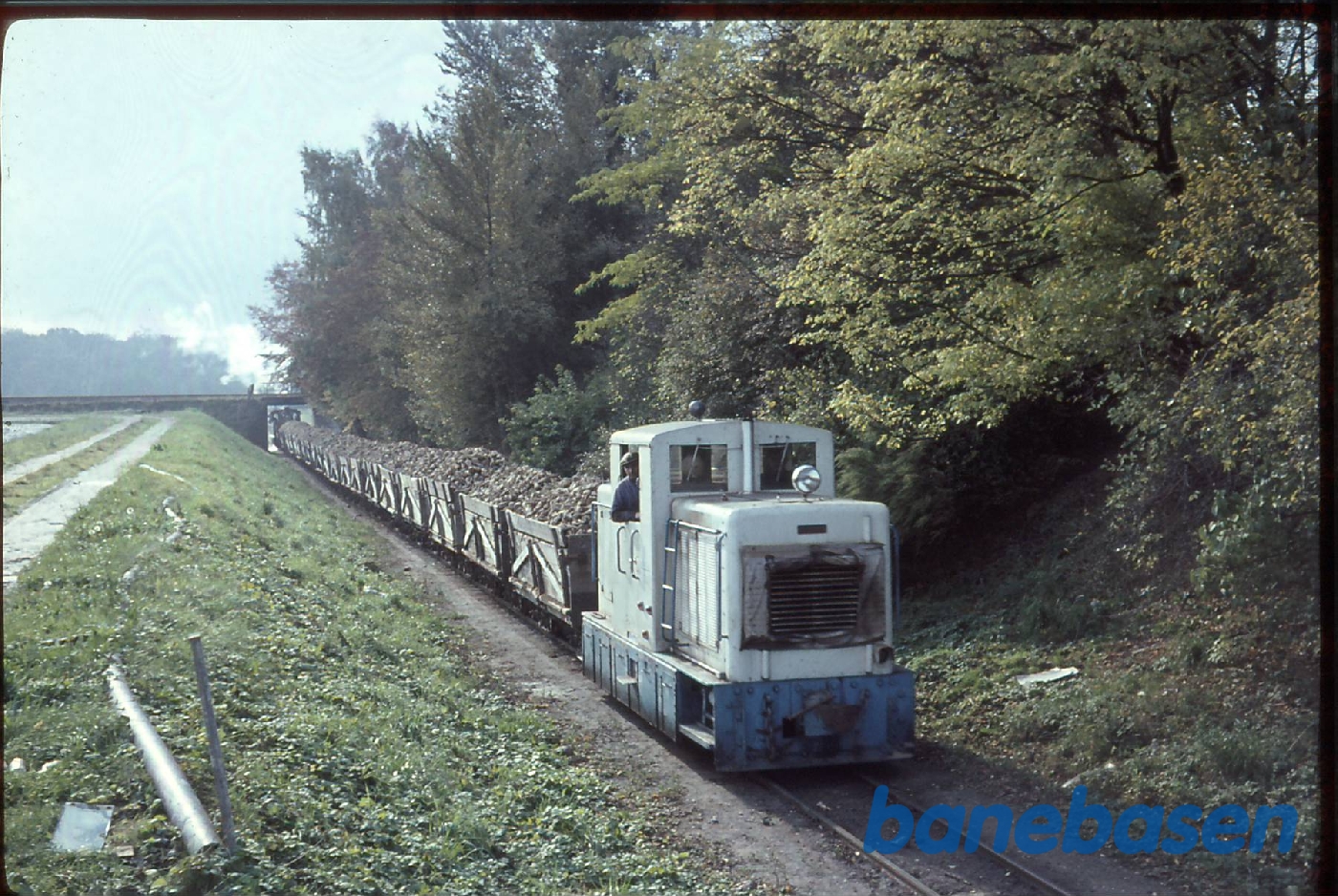 Sukkerroebaner. Saxkøbing. Tog ankommer med roer. Op til sukkerfabrikken Sukkerroebaner. Saxkøbing. Tog ankommer med roer. Op til sukkerfabrikken