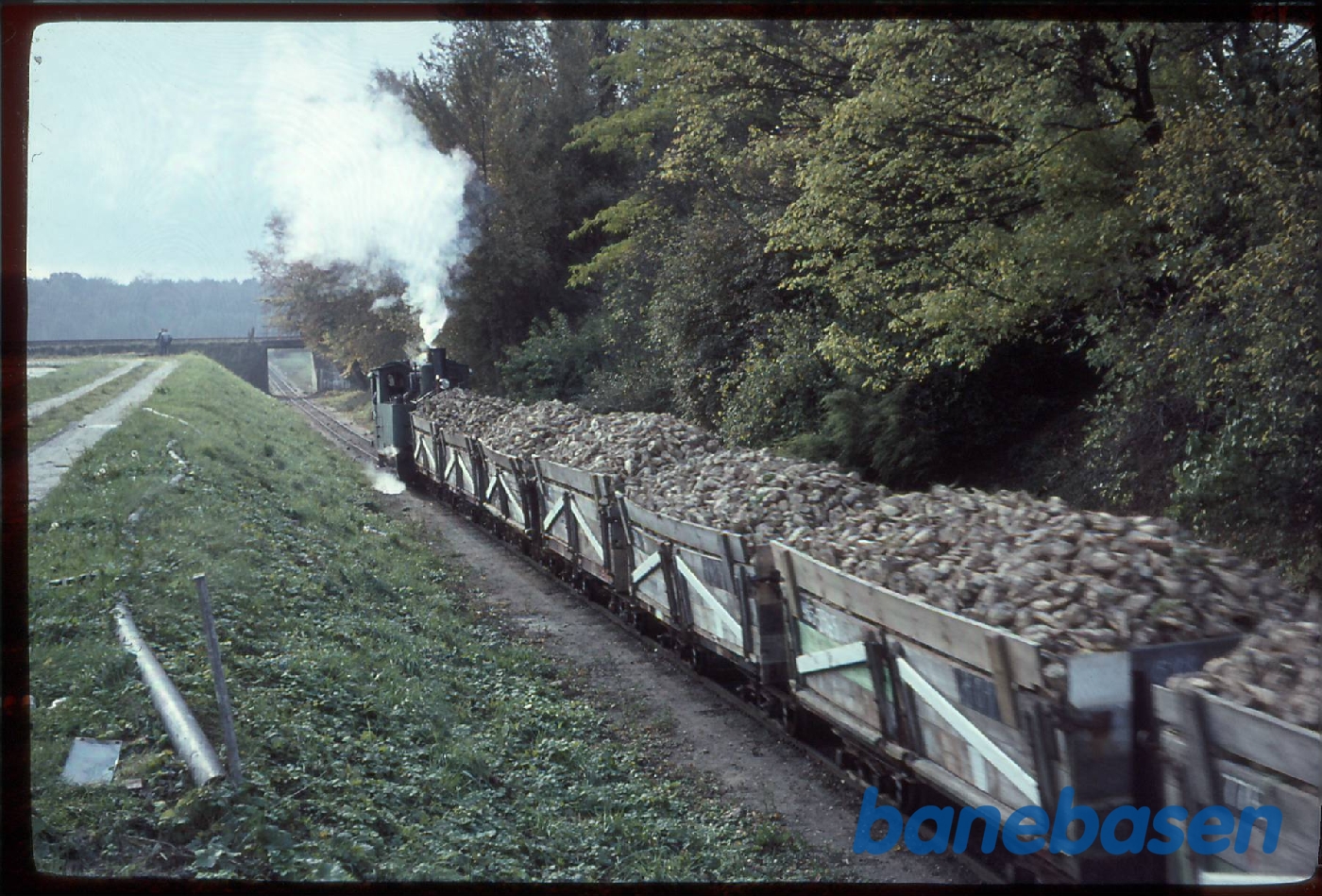 Sukkerroebaner. Saxkøbing. Tog ankommer med roer. Op til sukkerfabrikken Sukkerroebaner. Saxkøbing. Tog ankommer med roer. Op til sukkerfabrikken