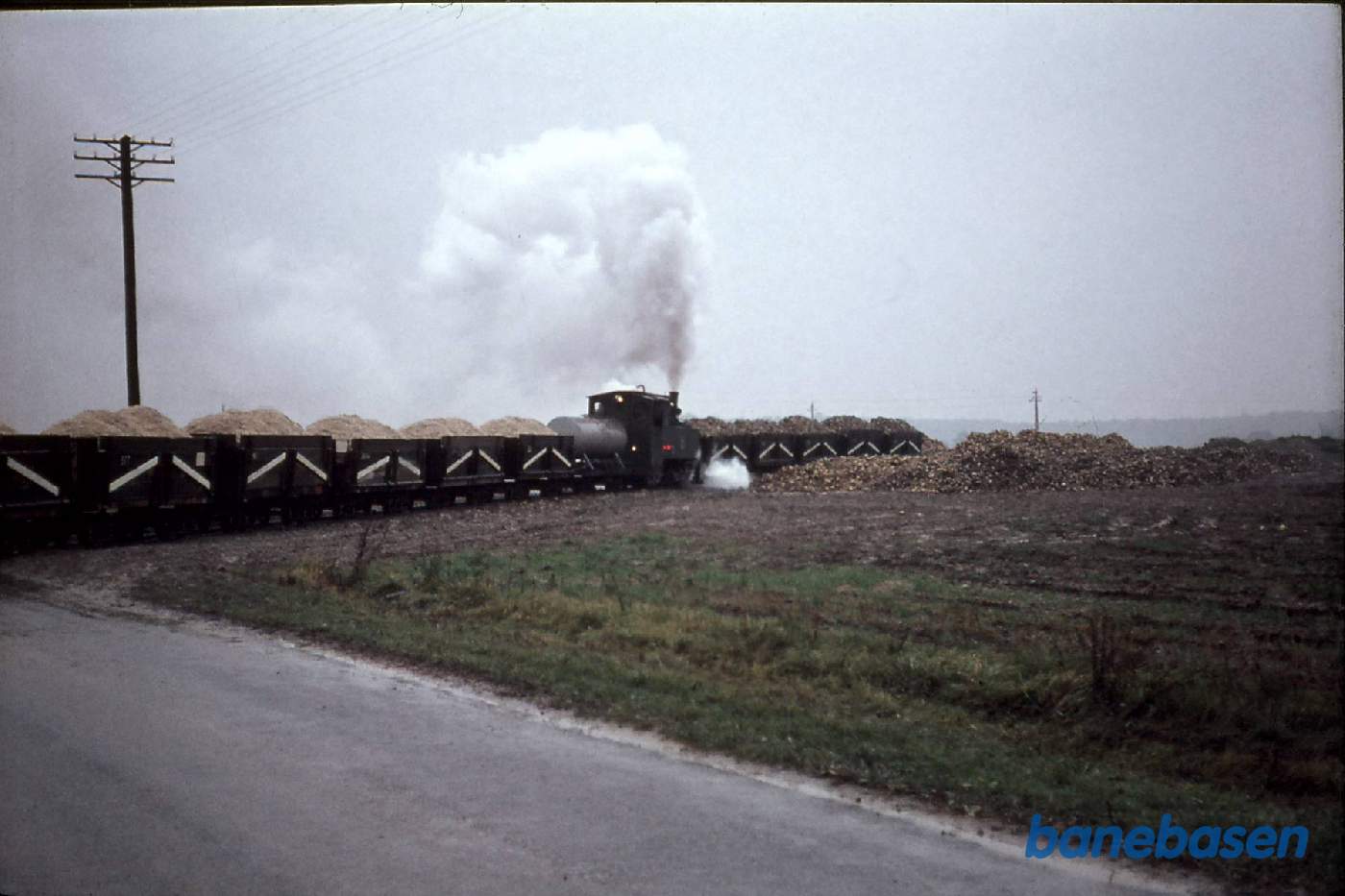 Sukkerroebaner. Saxkøbing. Tog med roeaffald en af de sidste dage