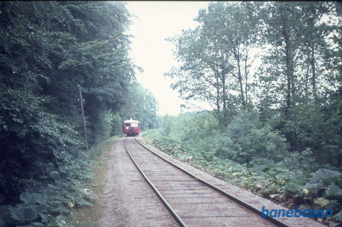 Sm skinnebus i Strandskov Sm skinnebus i Strandskov