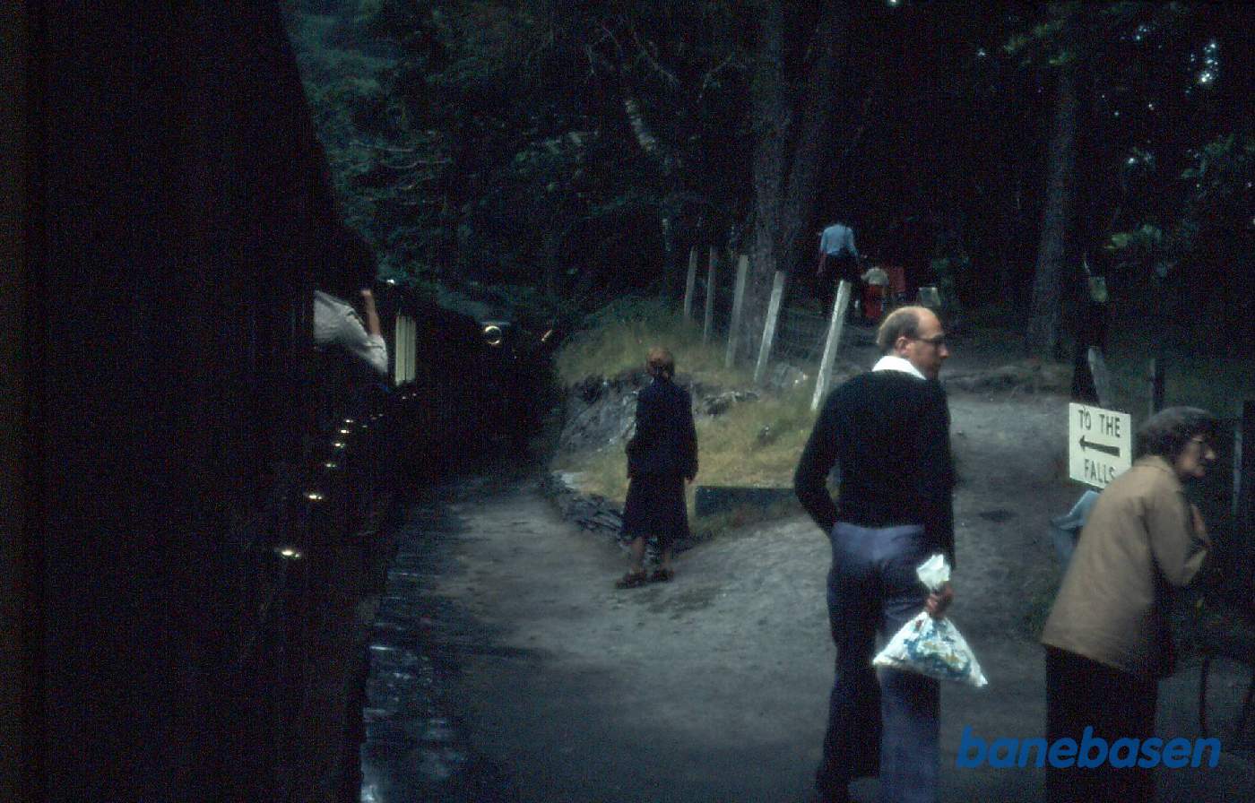 Smalsporsbaner i Wales. Dolgoch vandfald