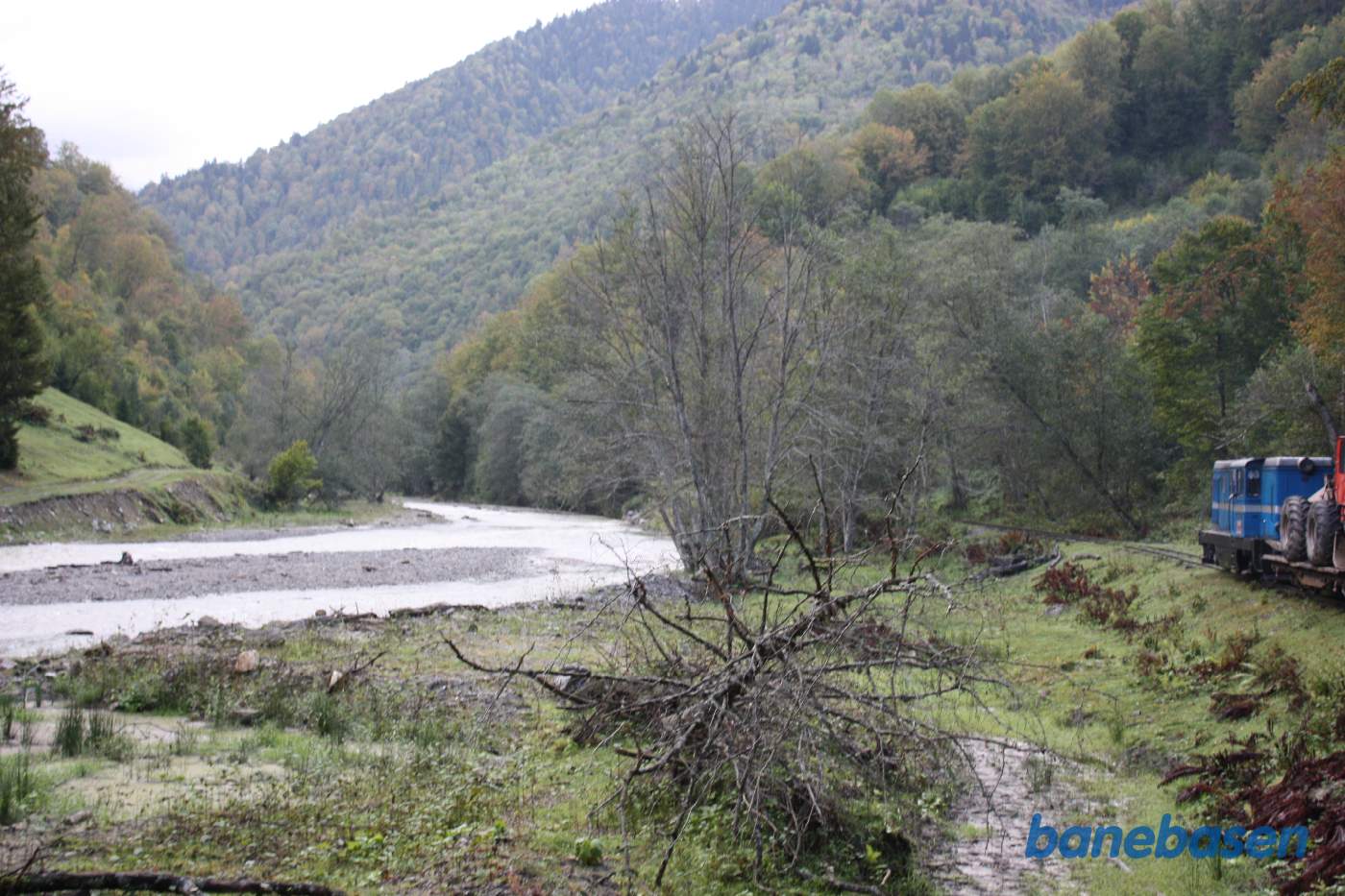 Billede fra turen op langs floden i skoven