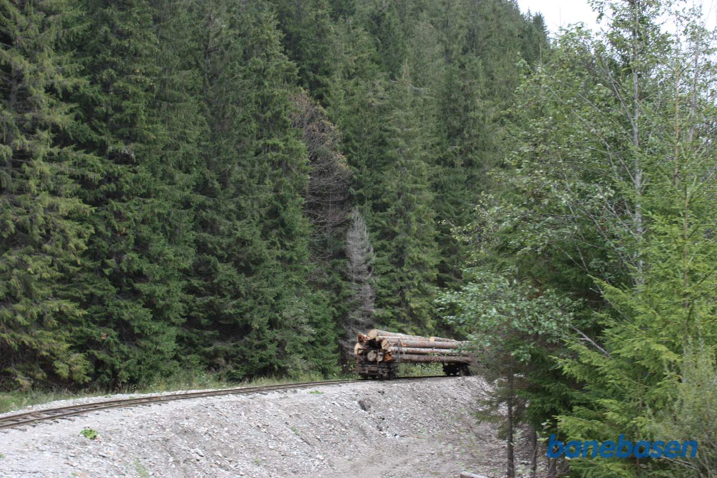 Et par vogne læsset med stammer på et sidespor
