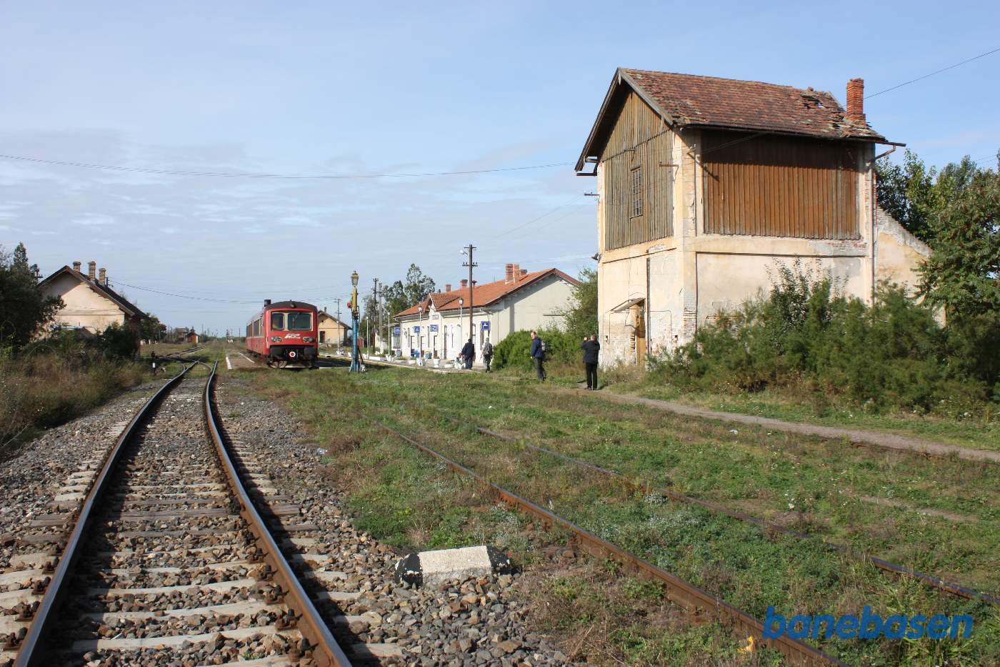 Sinicolaul Mare. Set fra Arad