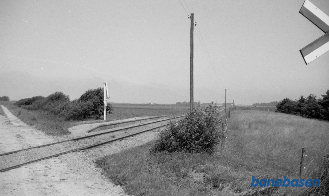 Nørre Rubjerg trinbræt
