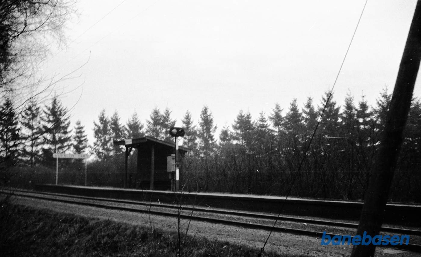 Horneby sand Trinbræt