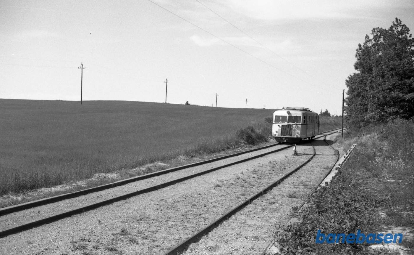 Bredshave roespor - NPMB Sm 2