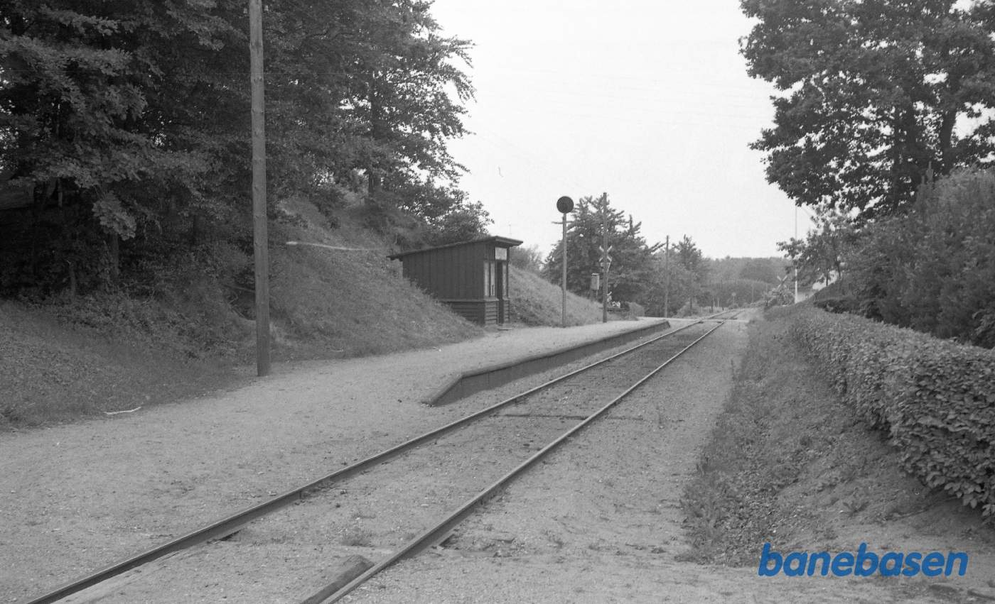 Staurbyskov Trinbræt