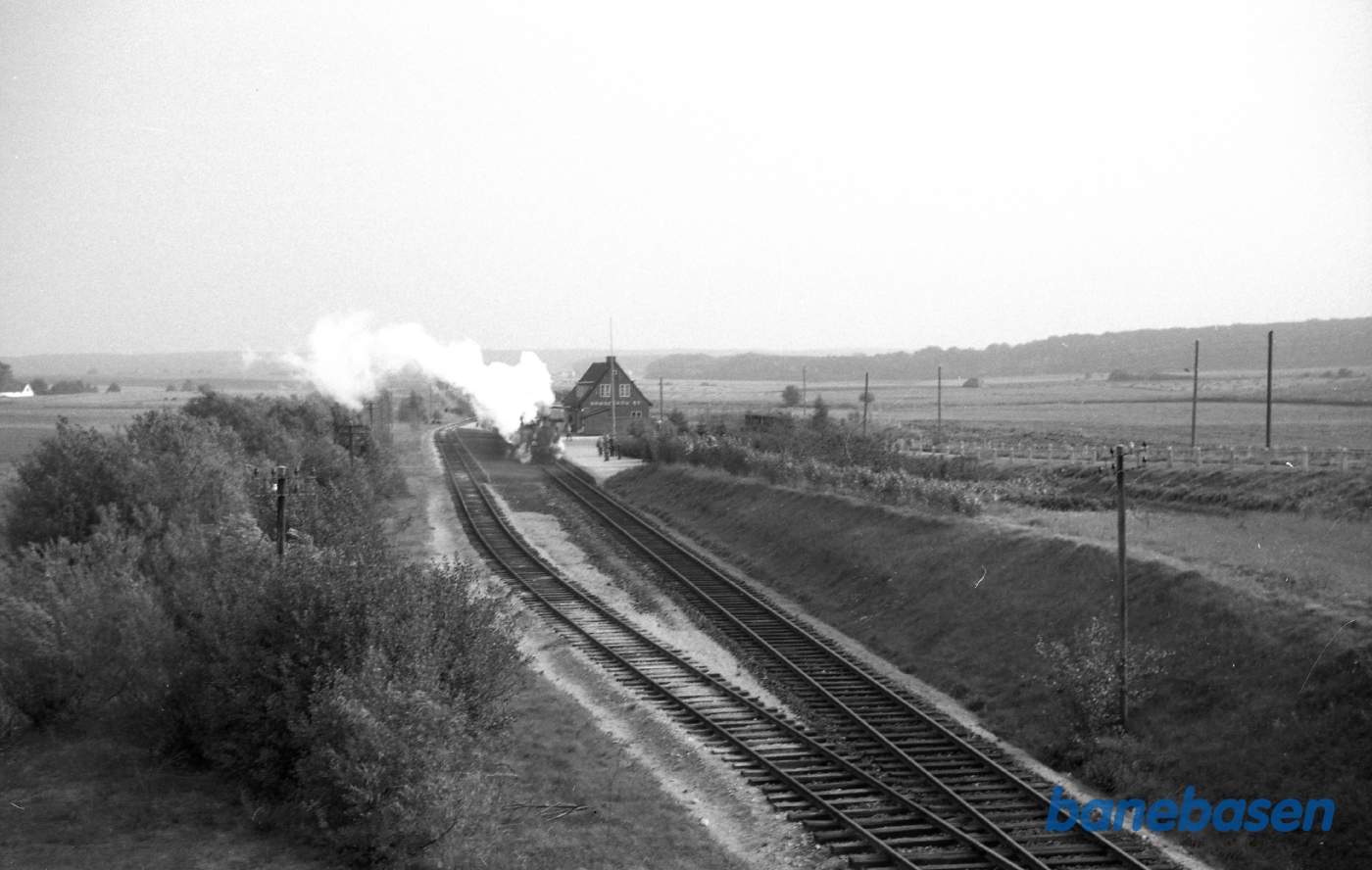 Særtog i Brødeskov