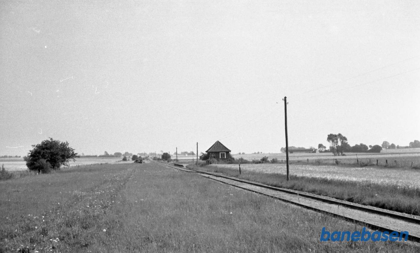 Haugbyrd Trinbræt Haugbyrd Trinbræt