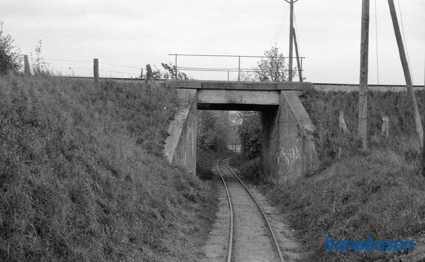 Dds viadukt for Assensbanen