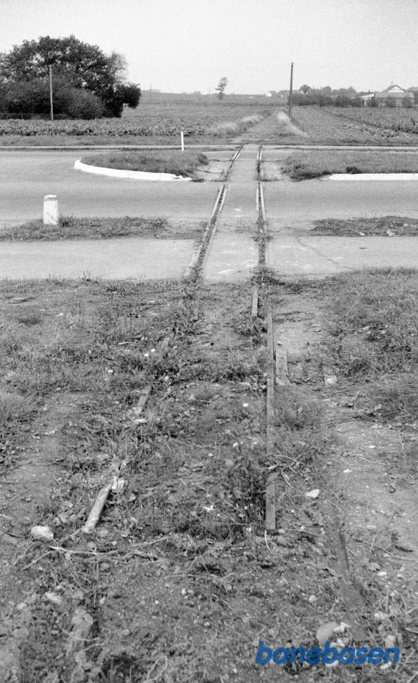 Ukendte spor i en vej