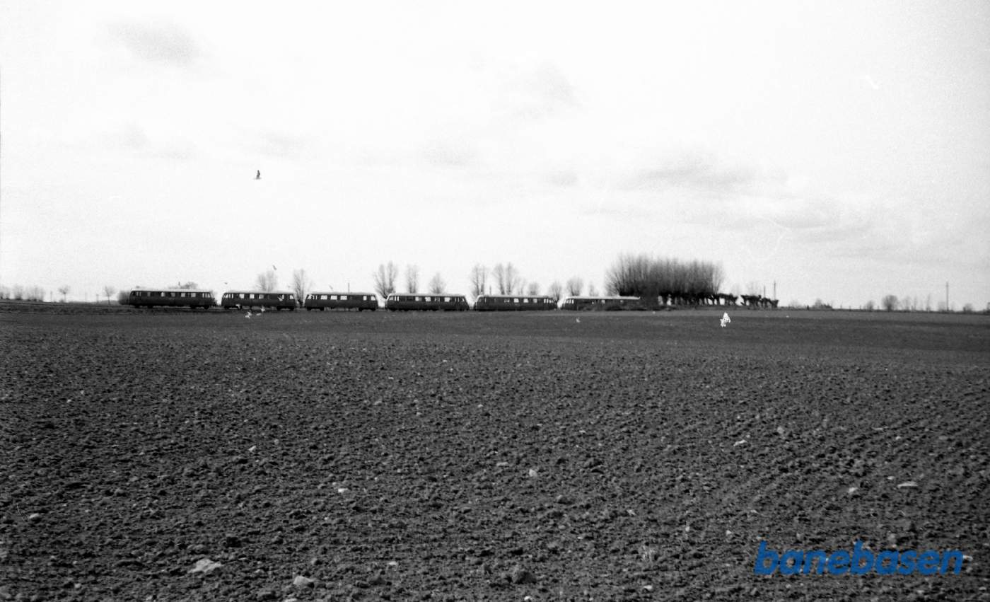 Skinnebustog ved Himlingøje