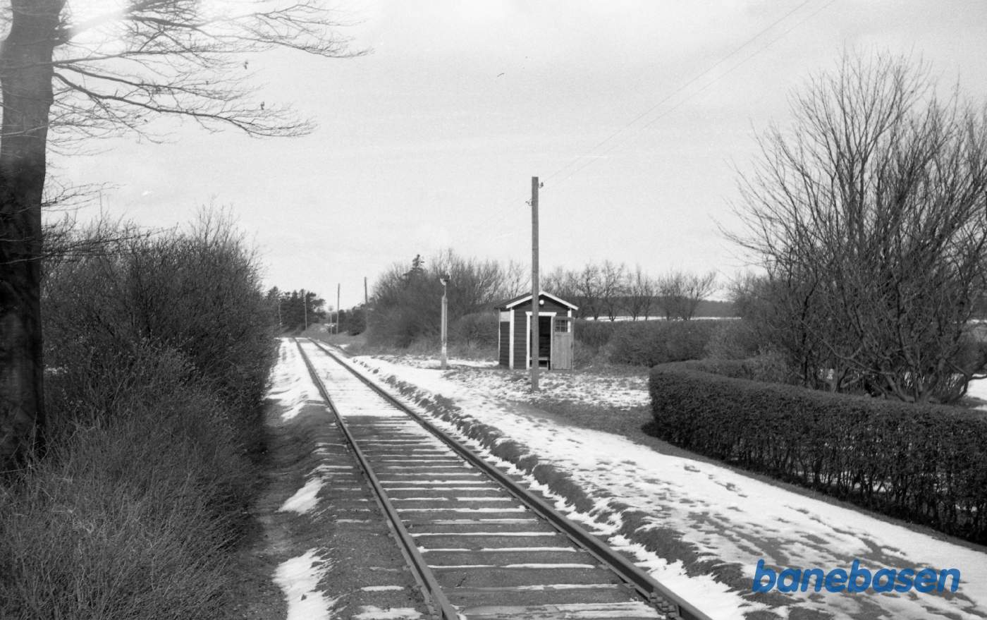 Askovhuse. Trinbræt