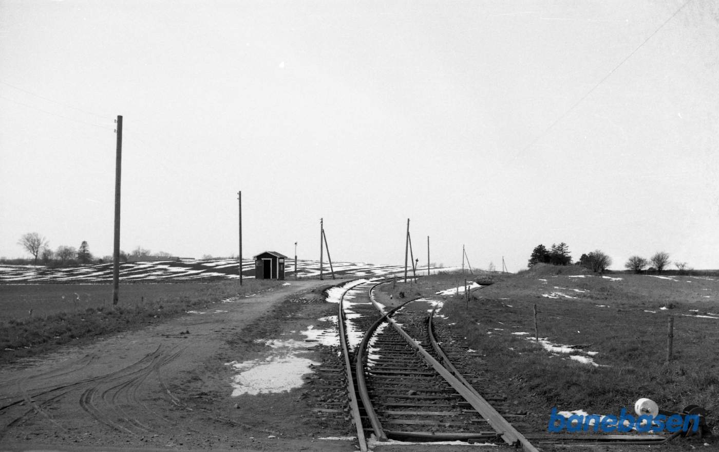Næstelsø med roespor