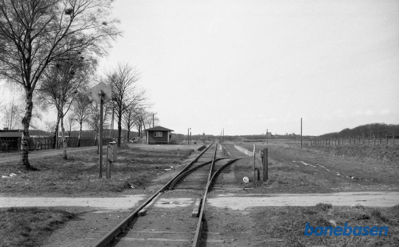 Rønnebæk Trinbræt med roespor Rønnebæk Trinbræt med roespor