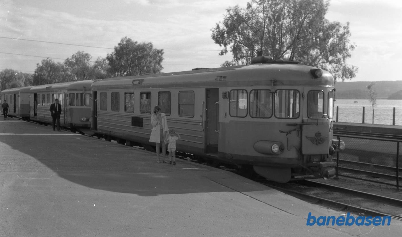 Normalspor skinnebustog