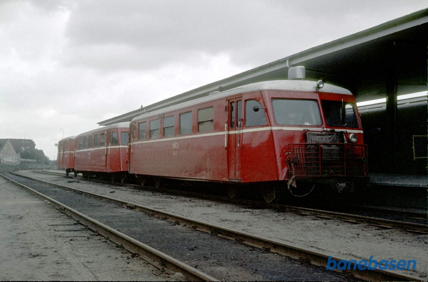 Trevogns skinnebustog