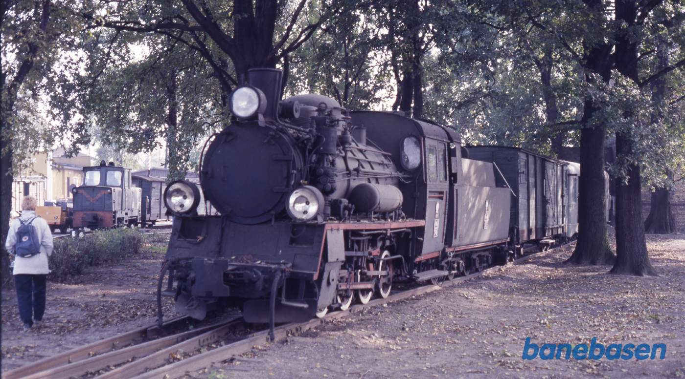 Damplokomotiv med blandet tog, udstillet mellem træerne