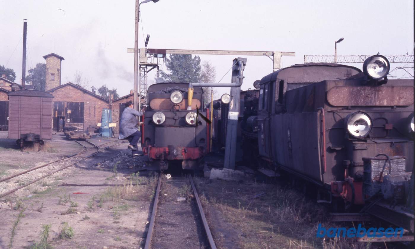 Damplokomotiv får vand ved remisen