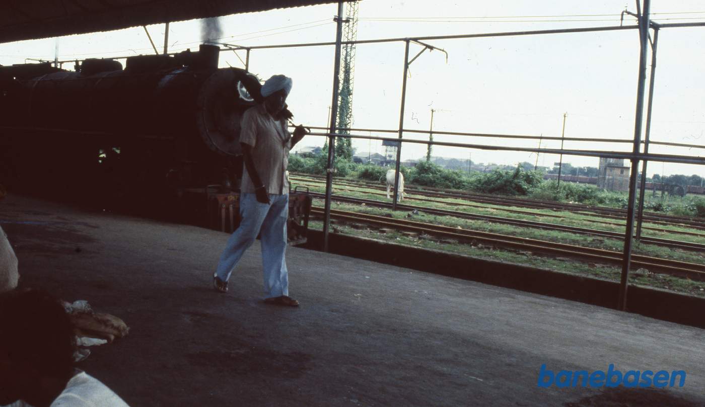 Inder på perronen, hellig ko græsser bag damplokomotivet