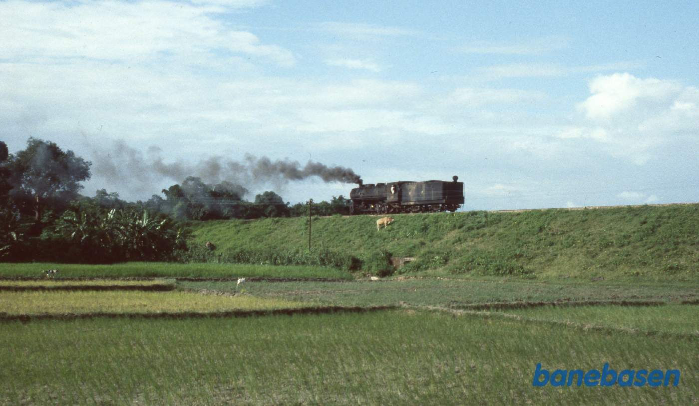 Solo damplokomotiv på høj banedæmning lige udenfor Siliguri station