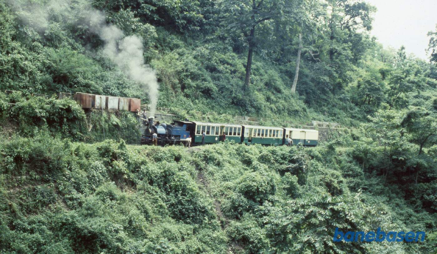 Det lille damplokomotiv tanker vand et sted i regnskoven på vej op