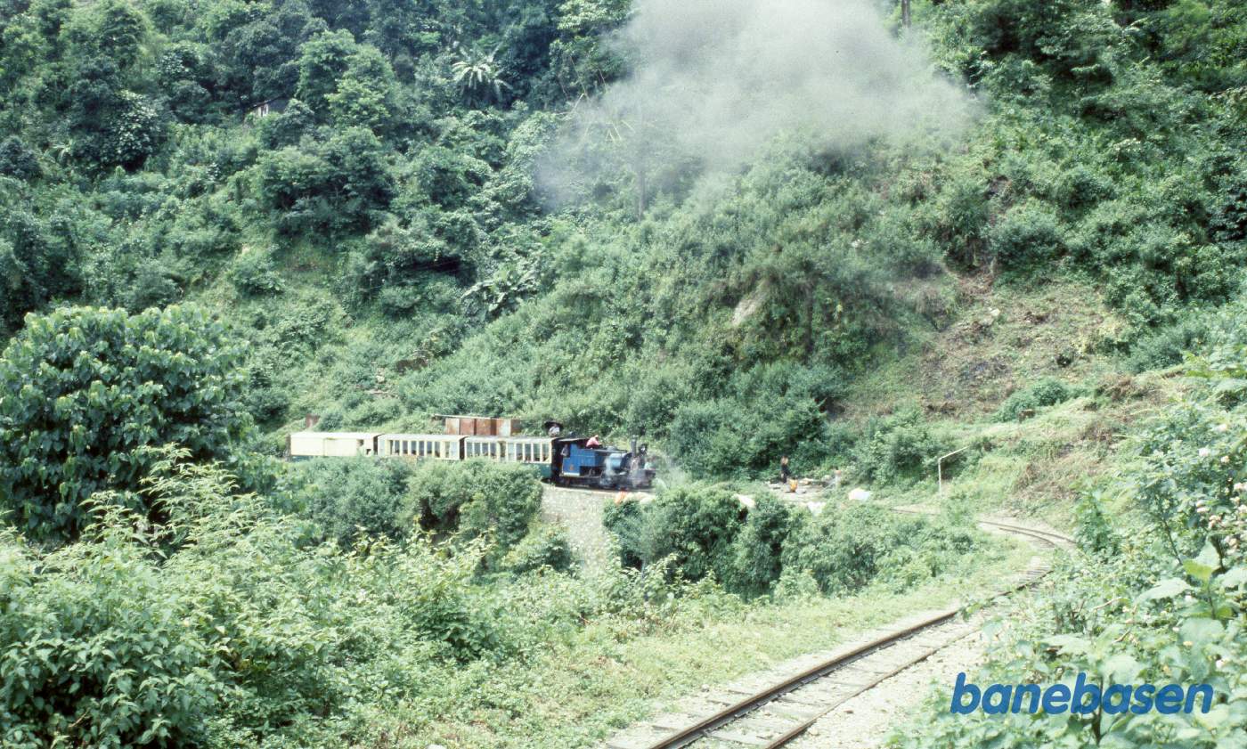 Det lille damplokomotiv tanker vand et sted i regnskoven på vej op